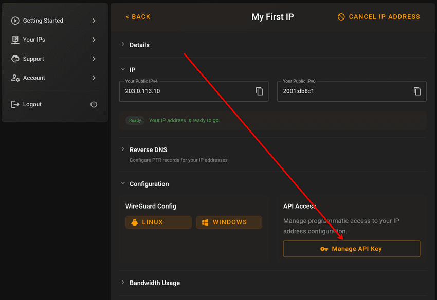 The Configuration section of an IP address, showing the API Access panel and its Manage API Key button